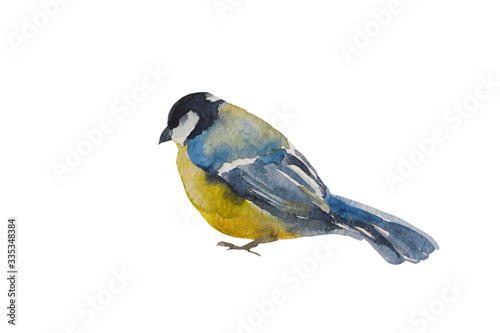 Obraz na plátně Blue tit bird isolated on white background
