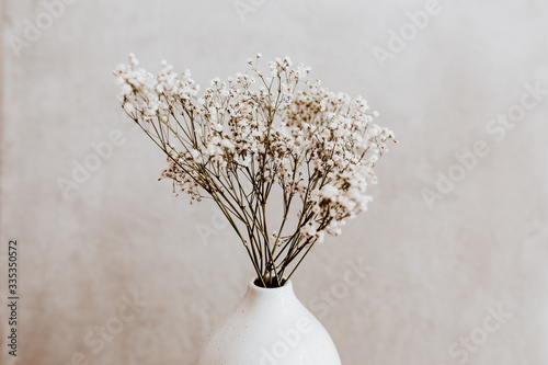 Fototapeta Naklejka Na Ścianę i Meble -  White wild dried flower in white ceramic vase closeup on grey background