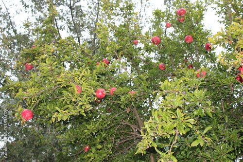 Ottobre fuori