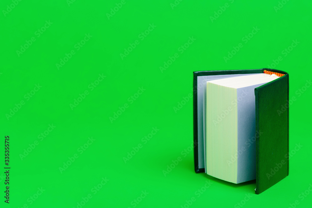 souvenir mini little book education on green background