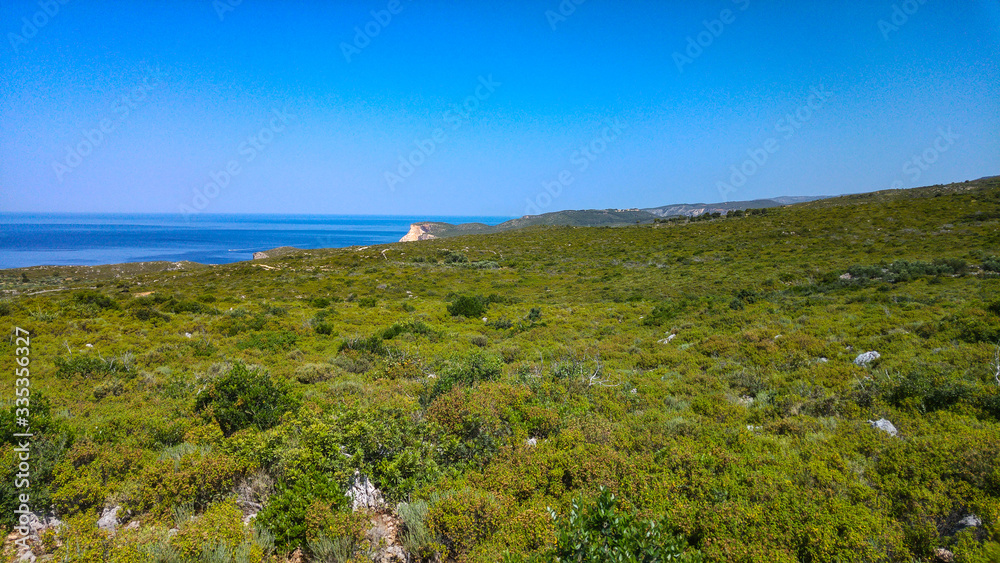 Greek landcsape with beautiful green bushes and the Mediterranean sea and blue sky in background