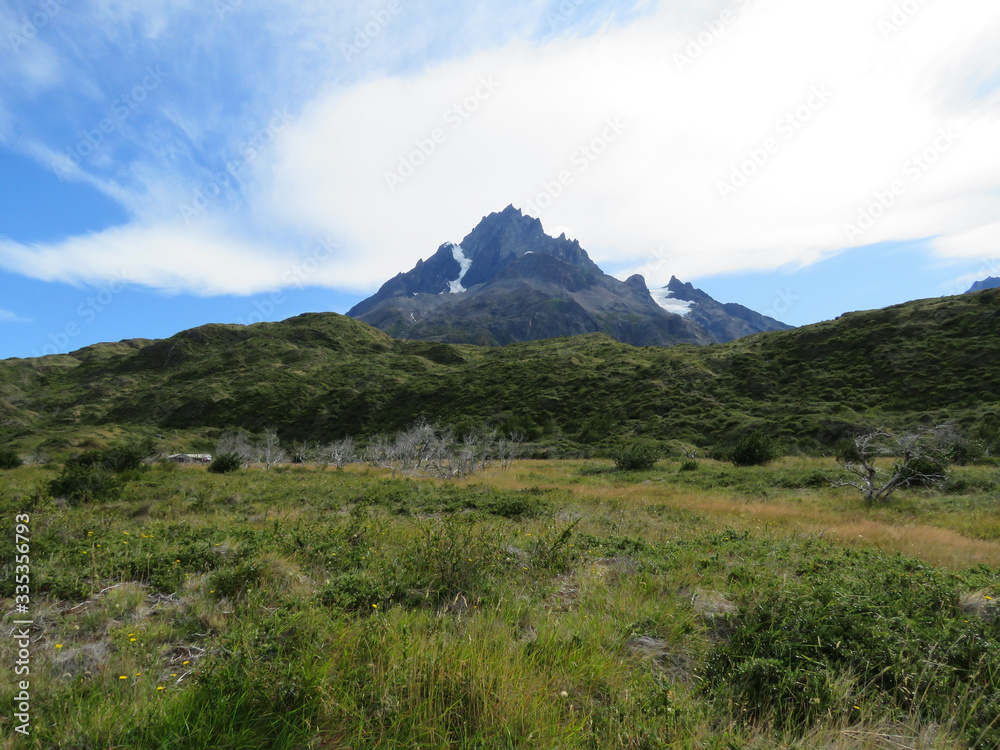 Fototapeta premium Torres del Paine, Patagonia, Chile: Cerro Paine Grande