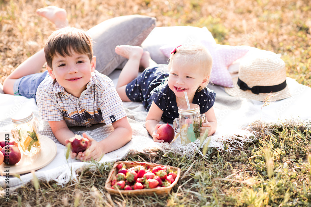 Kid boy 3-4 year old and girl 2-3 year old eating fruits having picnic ...