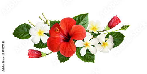 Red hibiscus and fragipani flowers with green leaves in tropical arrangement