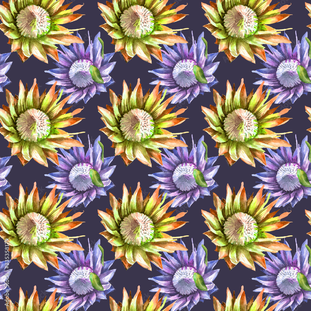 Seamless pattern. Protea watercolor flowers similar to an artichoke dark background Seamless pattern. Protea watercolor flowers similar to an artichoke dark background