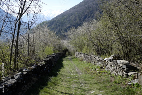 Path of Novalesa in the nature photo