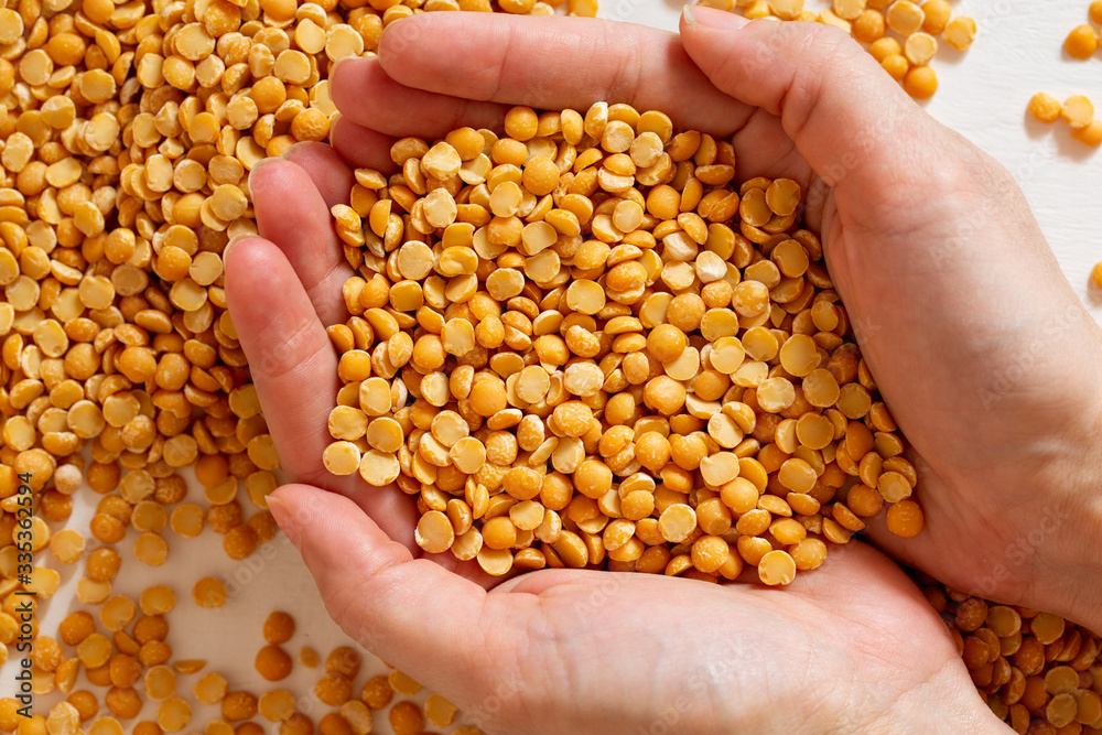 Yellow split peas in hand on a white background. Dry cereal for cooking. Yellow split peas in hand on a white background. Dry cereal for cooking.