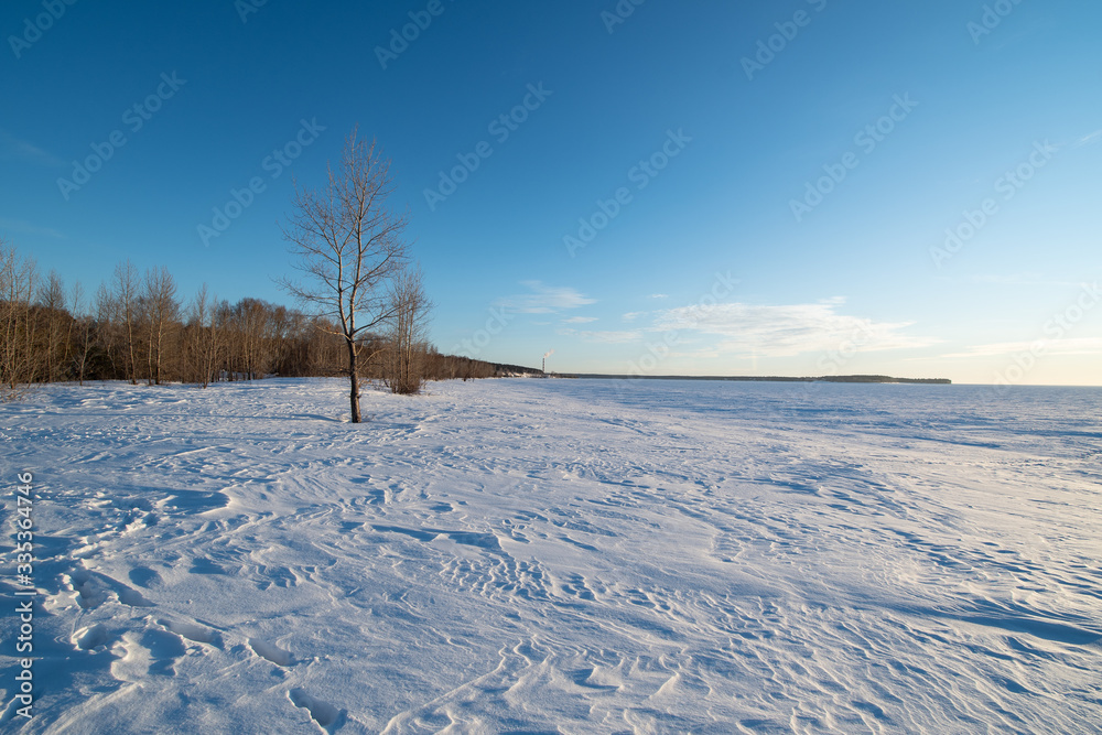 Winter landscape without people, with trees and a far-away pipe of a thermal gas station Winter landscape without people, with trees and a far-away pipe of a thermal gas station