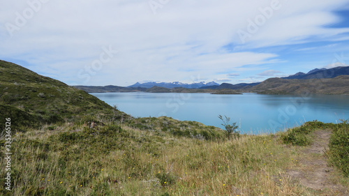 Torres del Paine  Patagonia  Chile  Forest and mountain view at lake Sk  ttsberg