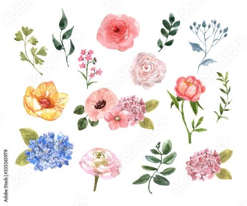Watercolor pink and yellow wildflower collection, isolated on white backgroun...