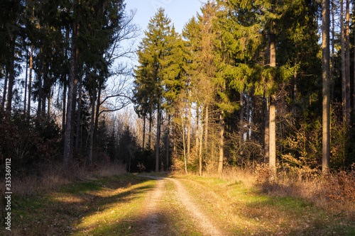 Landschaft im Fr  hling