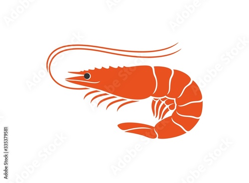 Shrimp logo. Isolated shrimp on white background. Prawns photo