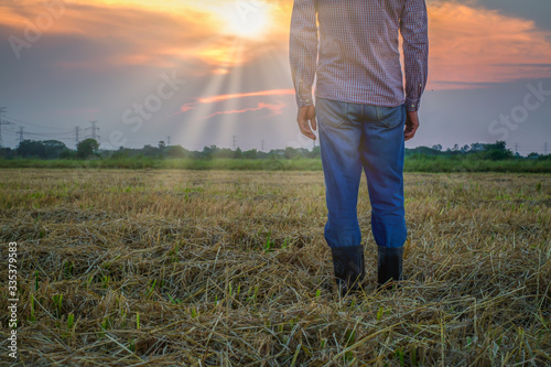 Rear view of farmer's fee standing in field at sunset, looking at field activity