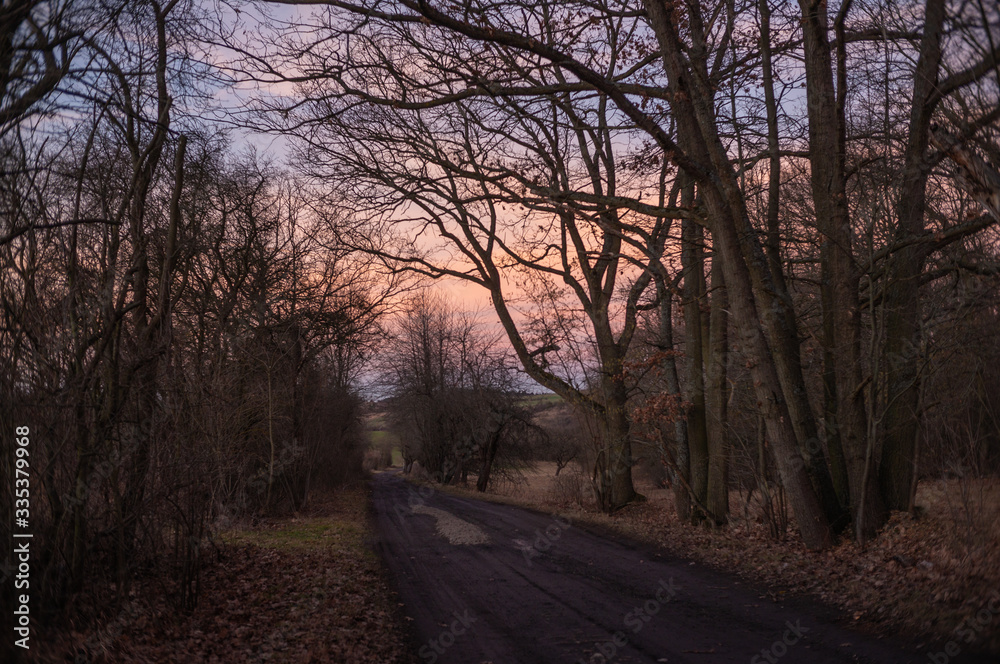 Landschaft im Frühling