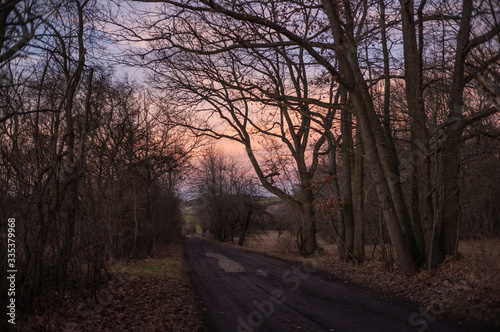 Landschaft im Frühling