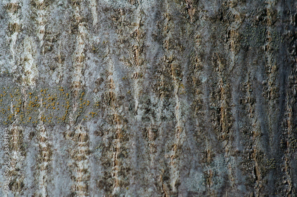old stone wall old stone wall