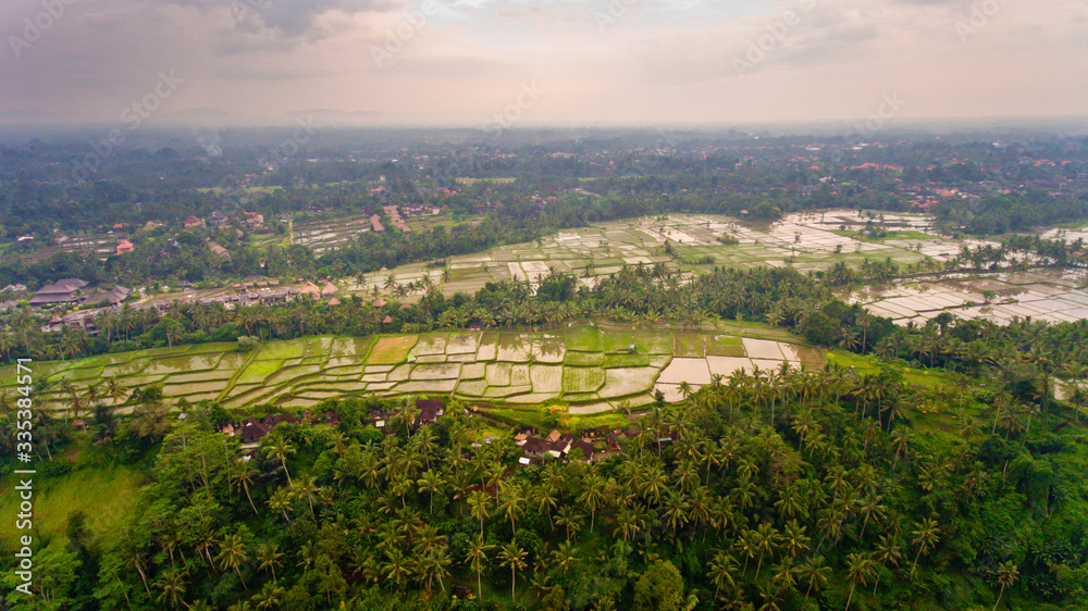 Aerial view terraces filled with water and ready for planting rice. Ubud, Bali, Indonesia.