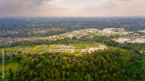 Aerial view terraces filled with water and ready for planting rice. Ubud, Bali, Indonesia.