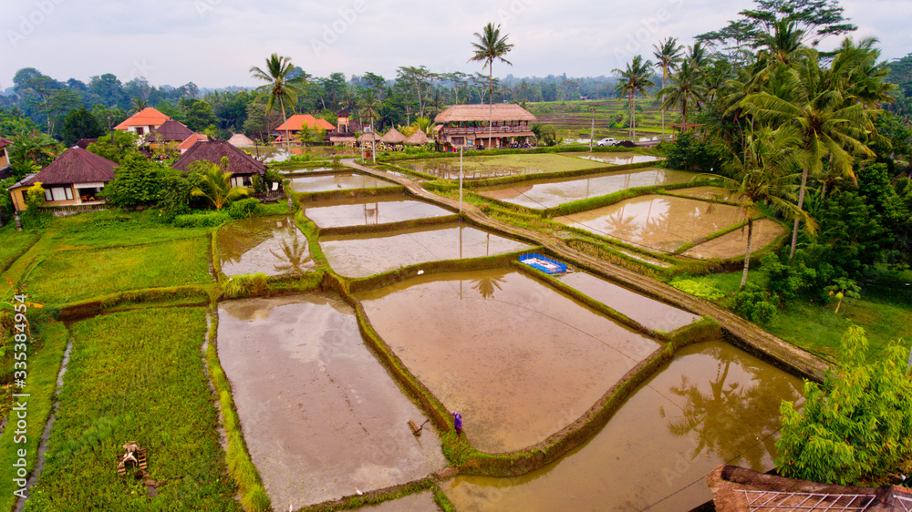 Aerial view terraces filled with water and ready for planting rice. Bali, Indonesia.