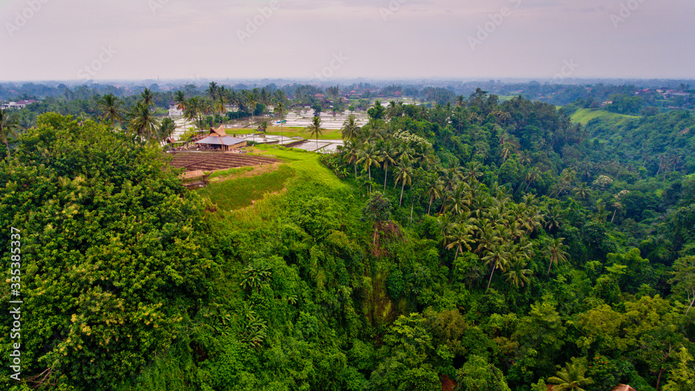 Aerial view of the rice fields through the jungle. Bali, Indonesia.