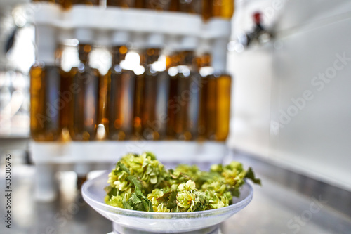 Valokuva Sample of natural hops prepared for measuring and beer in a brewery with the mac