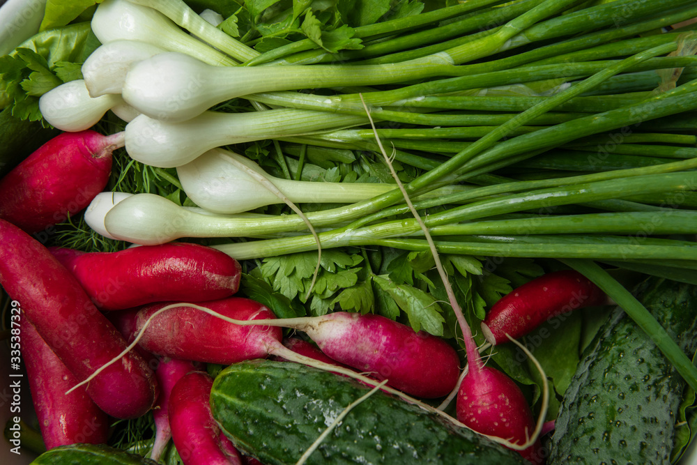Fresh vegetables, ingredients for spring salad, radishes with green onion and cucumbers Fresh vegetables, ingredients for spring salad, radishes with green onion and cucumbers