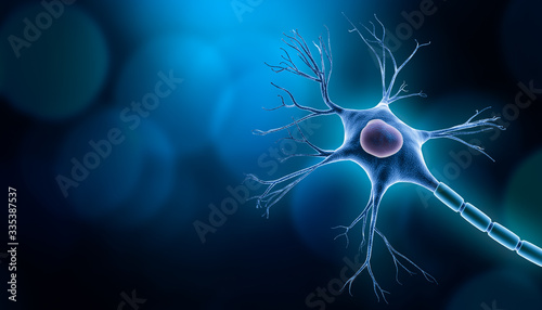 Neuron cell body with nucleus design, 3D rendering illustration with copy space and blue background. Neuroscience, neurology, biology, psychology, medicine, microbiology, scientific research concepts. photo