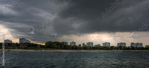 storm clouds over city skyline with beach and seagulls