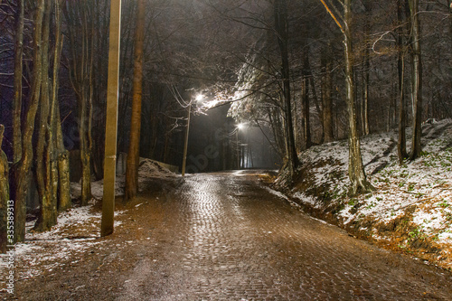 cobblestone road in the night photo