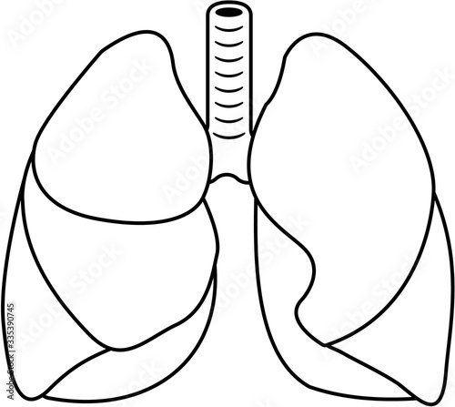 Lungs - simple black line