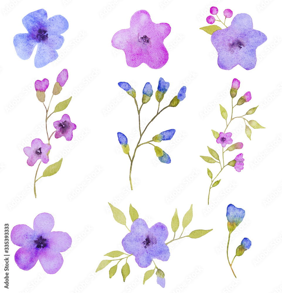 Fototapeta premium Set of 9 flowers elements. Hand drawn watercolor illustration 