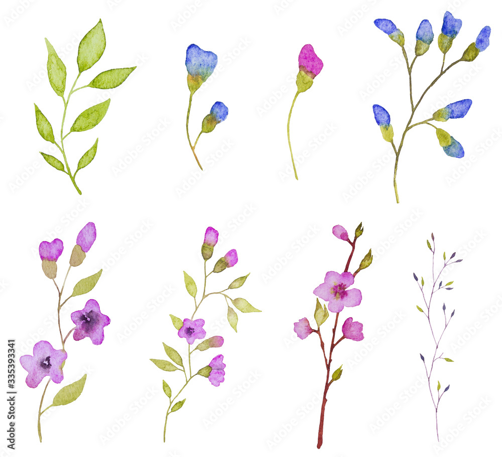 Set of flowers elements. Hand drawn watercolor illustration 
