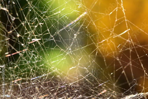 a fantastic spider web