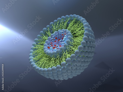 Structure of liposome, phospholipid, micelle, 3d render 