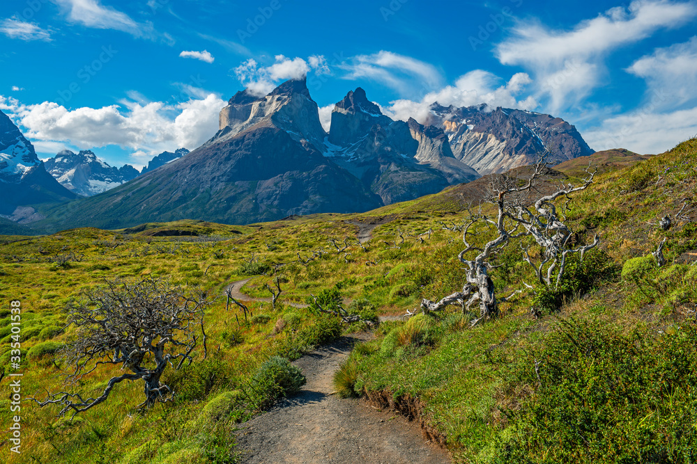 Fototapeta premium On the road on a path for backpackers in the Torres del Paine national park in Patagonia, Chile.