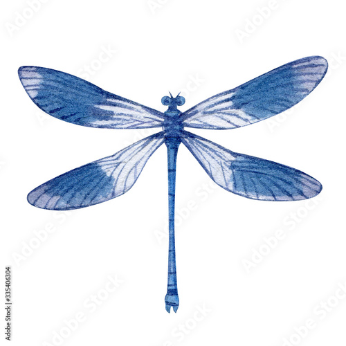 Hand drawn watercolor illustration of dragonfly isolated on white background. Beautiful insect watercolor drawing in trendy vintage style. Flying dragonfly with transparent wings.