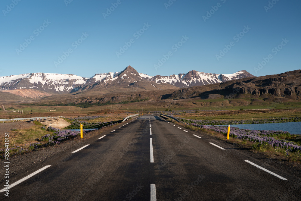 Road in Iceland leading to the mountains