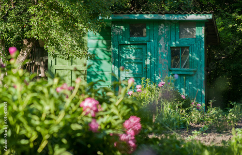 Gardener's wooden house barn in spring time with pions flowers