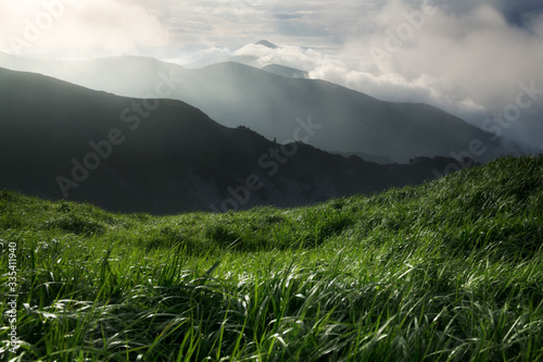 Lush green grass covered mountains meadow in summer time. Soft sunrise light glowing on a foreground. Landscape photography. Nature background