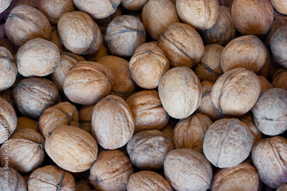 Walnuts in a bag. Walnuts in a bag.