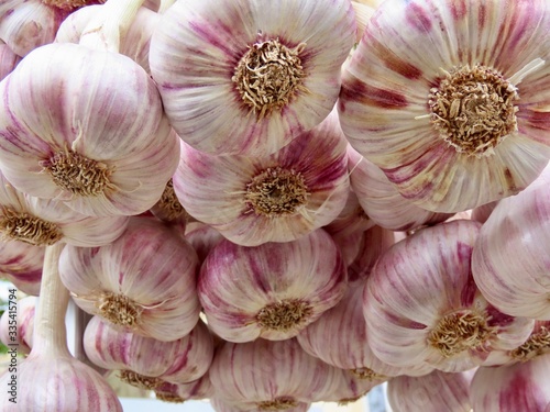 Raw garlic hanging