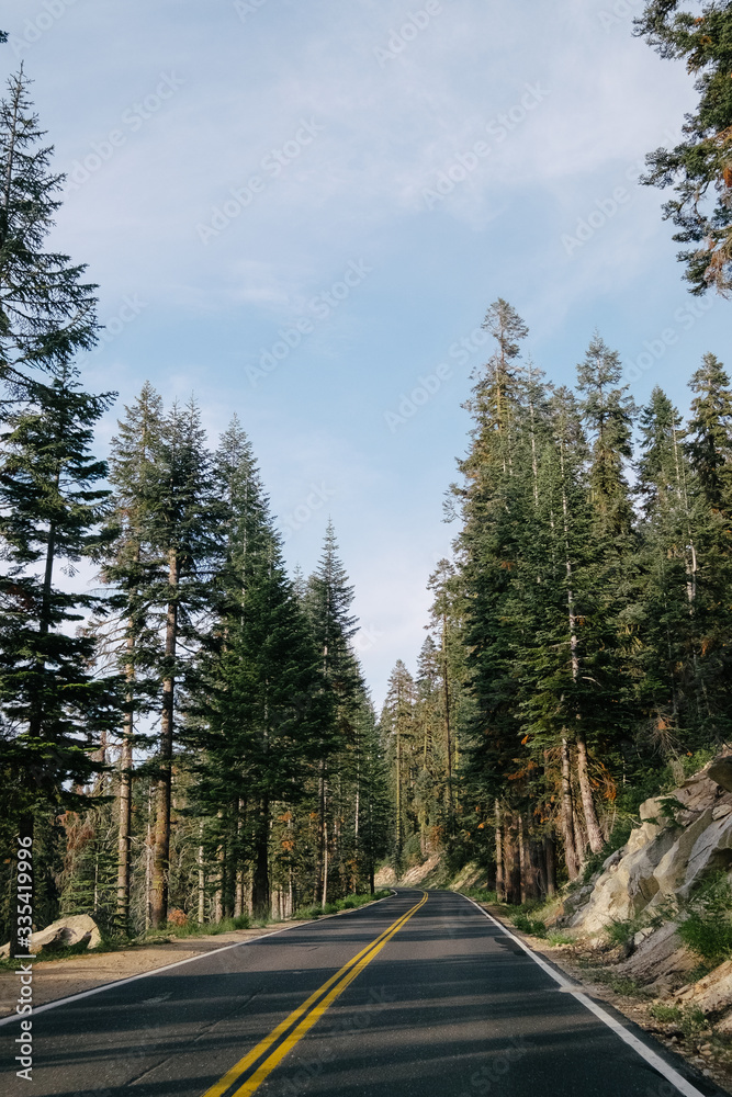 yosemite road forest california