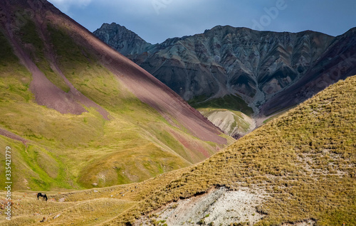 Scenic landscape of mountain in Kyrgyzstan. The Trans-Alay Range. Pamir Mountain System. Grazing horse.
