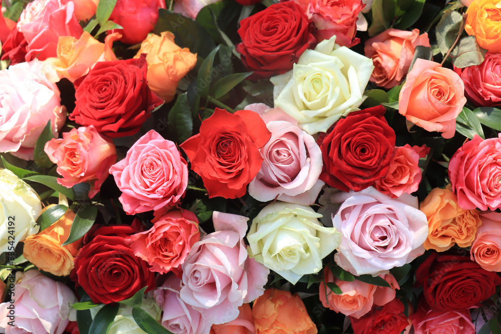 Colorful wedding roses Colorful wedding roses