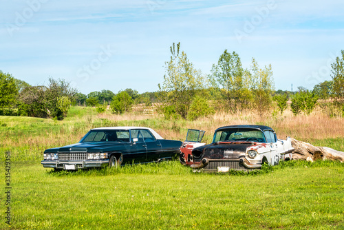 Two old vintage cars rusting in a farmer's field. © BlokPhoto
