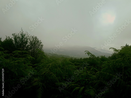 misty morning in the mountains