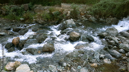 stream in the forest