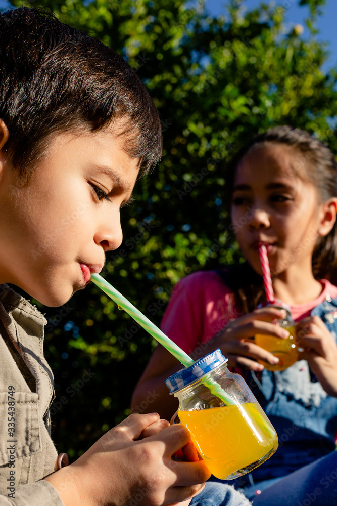 Fototapeta premium brothers drink juice in the sun in their backyard