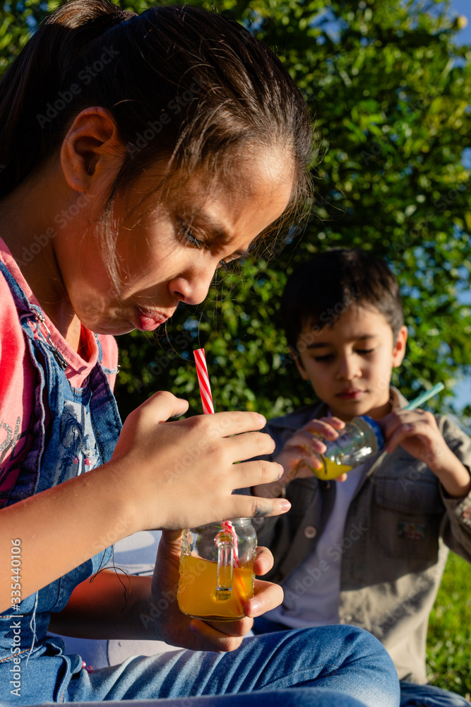 Fototapeta premium brothers drink juice in the sun in their backyard