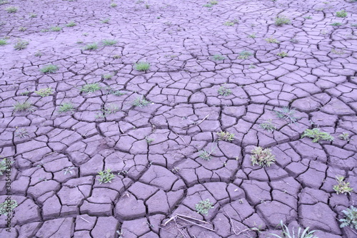 荒地